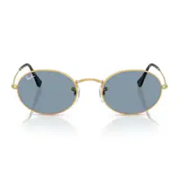 ray-ban Unisex UV-Protected Oval Sunglasses-0RB3547001/5651-picture-13