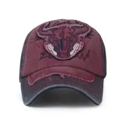 aavjo Men Embroidered Baseball Cap-picture-12