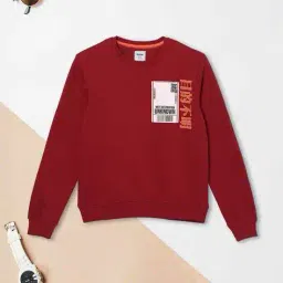 max Boys Stylised Fit Sweatshirt image 1