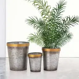 aapno rajasthan Set of 3 Metal Planters-picture-32