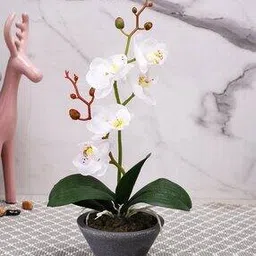 tayhaa 1 Pieces Orchid Artificial Plant With Pot-picture-18