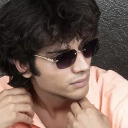 ted smith Men PANTHER-C1 UV-Protected Aviator Sunglasses image 1