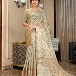 rudit creation Organza Saree with Contrast Border-picture-47