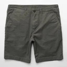 american eagle Men Regular Fit Shorts image 1