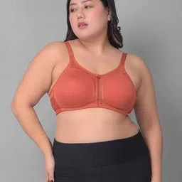 dollar missy Women Full-Coverage Total-Support Bra-picture-14