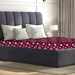 stylista Waterproof Mattress Protector Queen Size image 1