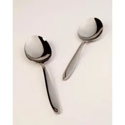 blackcarrot Set of 2 Stainless Steel Serving Spoons image 1