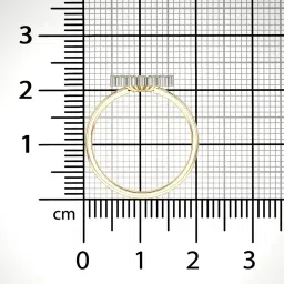 valanova Women Sterling Silver Gold-Plated Lab Grown Diamond-Studded Ring image 2