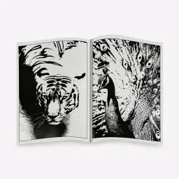 comdaq The Magic of India Book image 2