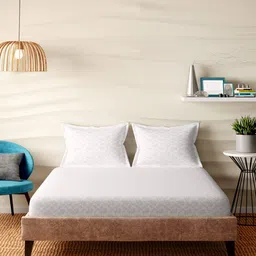 portico 300 TC Super King-Size Bedsheet with 2 Pillow Covers image 2