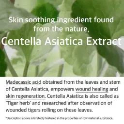 mixsoon Soondy Centella Asiatica Essence image 2