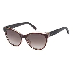 fossil Women UV-Protected Cat-Eye Sunglasses - FOS 3172/S image 2