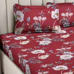 fabinaliv 300 TC Floral Print King-Size Bedsheet with Pillow Covers image 3