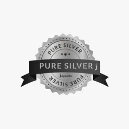 srijagdamba pearls dealer 800 Silver Ganesha Idol image 3