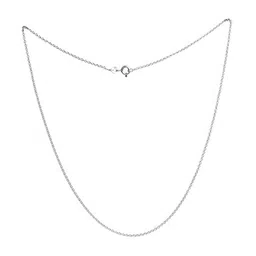 akshat sapphire Sterling Silver Mansa Devi Ji Pendant with Chain image 3