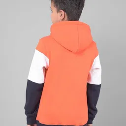crimsoune club Boys Colourblock Regular Fit Hoodie image 4