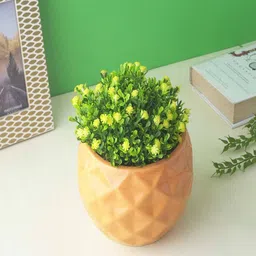 the decor mart Table Top Ceramic Planter image 4