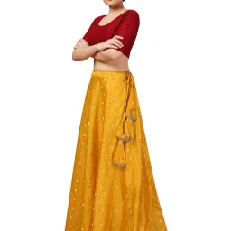 studio shringaar Geometric Woven A-Line Skirt with Tassels image 4