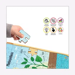 webby Photosynthesis Wooden Puzzle - 40 Pcs image 4