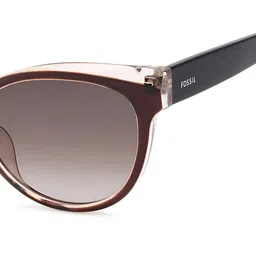 fossil Women UV-Protected Cat-Eye Sunglasses - FOS 3172/S image 4