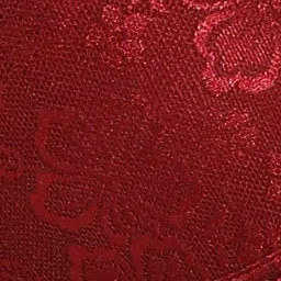 clovia Padded Lace Full-Coverage Non-Wired Bra image 5