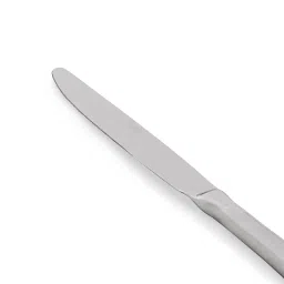 pure home and living Set of 4 Silver-Plated Stainless Steel Knives image 5