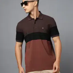 arrow sports Men Colourblock Regular Fit Polo T-Shirt-picture-12
