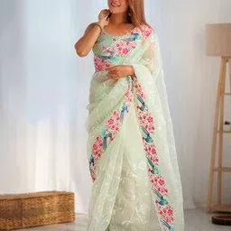 ri-wah Cutwork Organza Embroidered Saree-picture-53