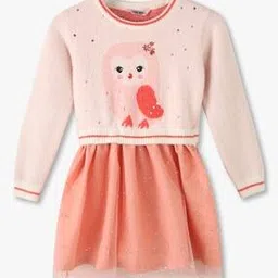 Girls Embroidered Fit & Flare Dress-image-4