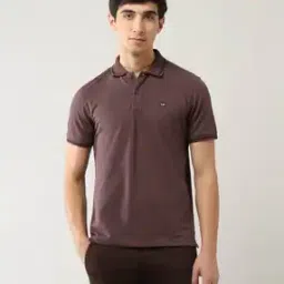 arrow sports Men Regular Fit Polo T-Shirt with Striped Collar-picture-34