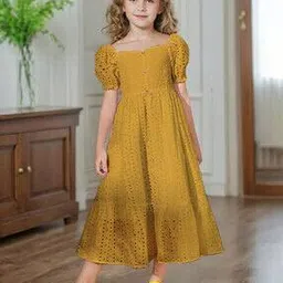 avsar trendz Girls Schiffli Embroidered Tiered Dress-picture-27