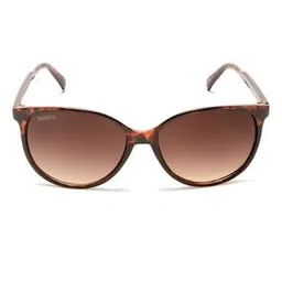 roadies Women UV-Protected Cat-Eye Sunglasses-RDM-213-C2-picture-42