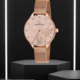 carlington Men CT2020 Water-Resistant Analogue Watch with Mesh Strap-picture-14