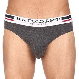 u.s. polo assn. Pack of 3 Panelled Low-Rise Briefs-picture-40