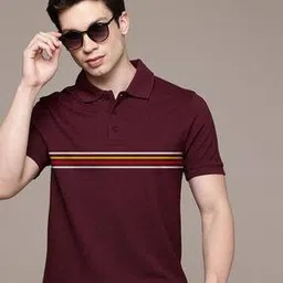 buda jeans co Men Striped Regular Fit Polo T-Shirt-picture-13