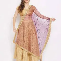 clora creation Embellished Net Dupatta-picture-53