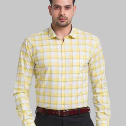 Park Avenue Men Yellow Slim Fit Checked Formal Shirt-picture-33