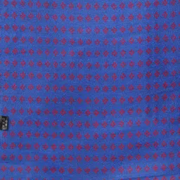 Alvaro Castagnino Men Blue & Red Printed Reversible Muffler image 3