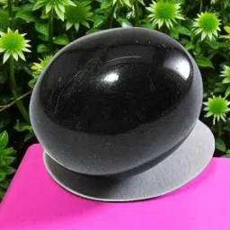 The Original Hayagriva Shaligram Origin Gandaki River Nepal Vishnu Bhagwan Shila A+ Quality Stone image 2