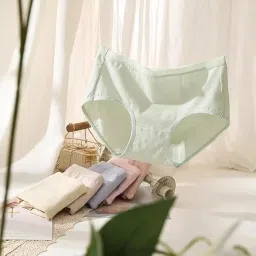 louryn koulyn 100% Cotton Solid Pastel Regular Set of 4 Panties for Women image 3