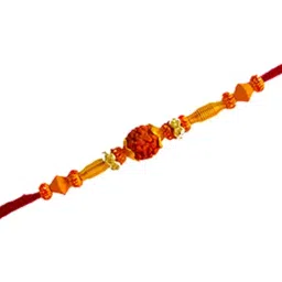 dms retail Multicolour Rudraksh Rakhi with Roli Chawal for Brother - Set of 12 image 2