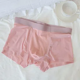 asjar Men’s Ice Silk Stretch Boxer Shorts | Quick Dry Breathable Underwear with Support Pouch Underwear | Pack of 1 | Multicolor image 2