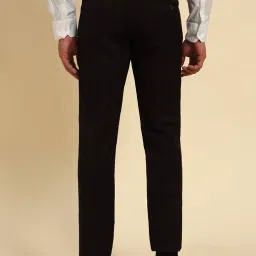 cantabil Men Checkered Regular Fit Formal Trouser (P_MSTP00049) image 3