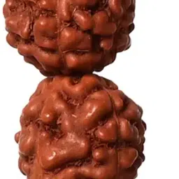 isha life Panchmukhi Rudraksha Mala image 2