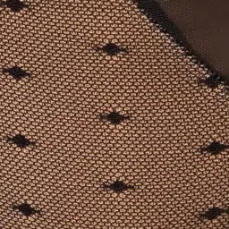 clovia Women's Lace Low Waist Outer Elastic Bikini Panty image 4