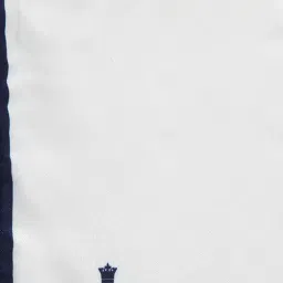 louis philippe Men Navy Print Formal Pocket Square image 3