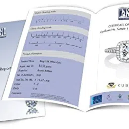 kuberbox White Gold and Diamond Black Stud Earrings image 5