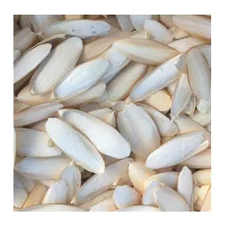 generic 1 kg Broken Cuttlefish Bones for Birds, Budgies, Finches - Best Calcium Supplement (Small Cuttlefish Bones) image 2