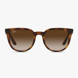 ray-ban 0RB4381I Polarized Full-Rim Wayfarers image 1