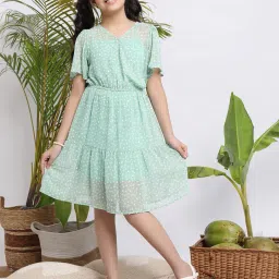 budding bees Floral Fit & Flare Dress with V-Neck image 1